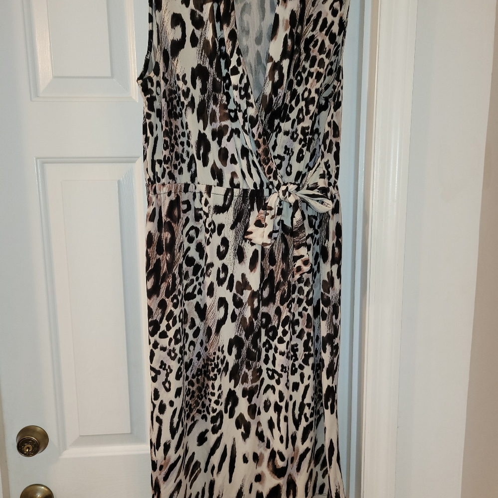 Dress Animal Print